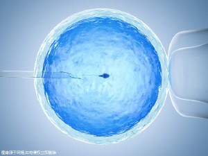 遗传咨询